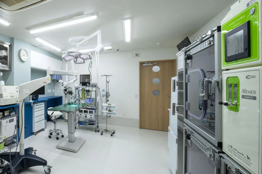 あかつき動物病院（品川どうぶつ歯科）