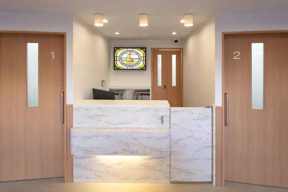 かねこ動物病院