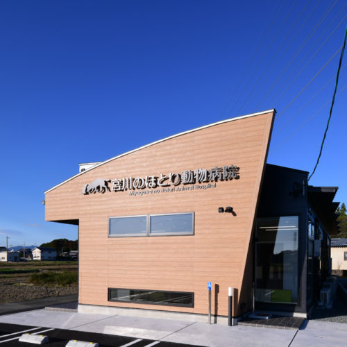 ”宮川のほとり動物病院”　三重県伊勢市　竣工