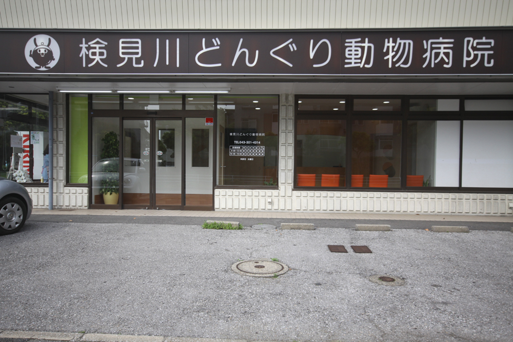 検見川どんぐり動物病院
