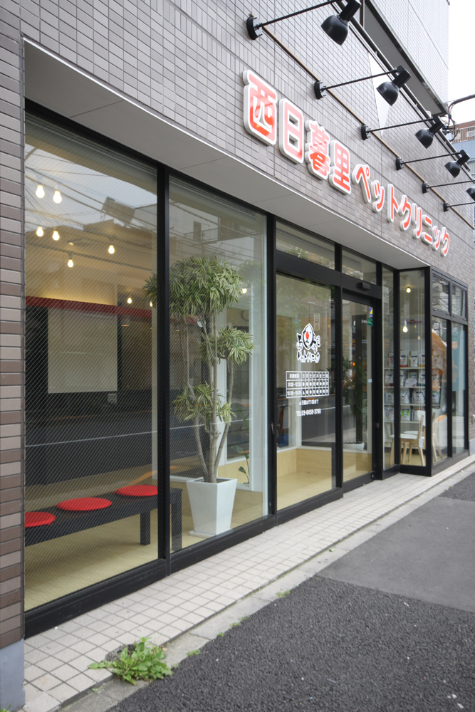 西日暮里ペットクリニック