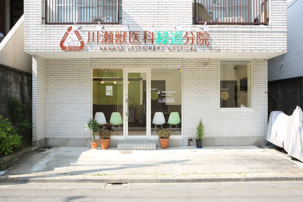 川瀬獣医科緑道分院