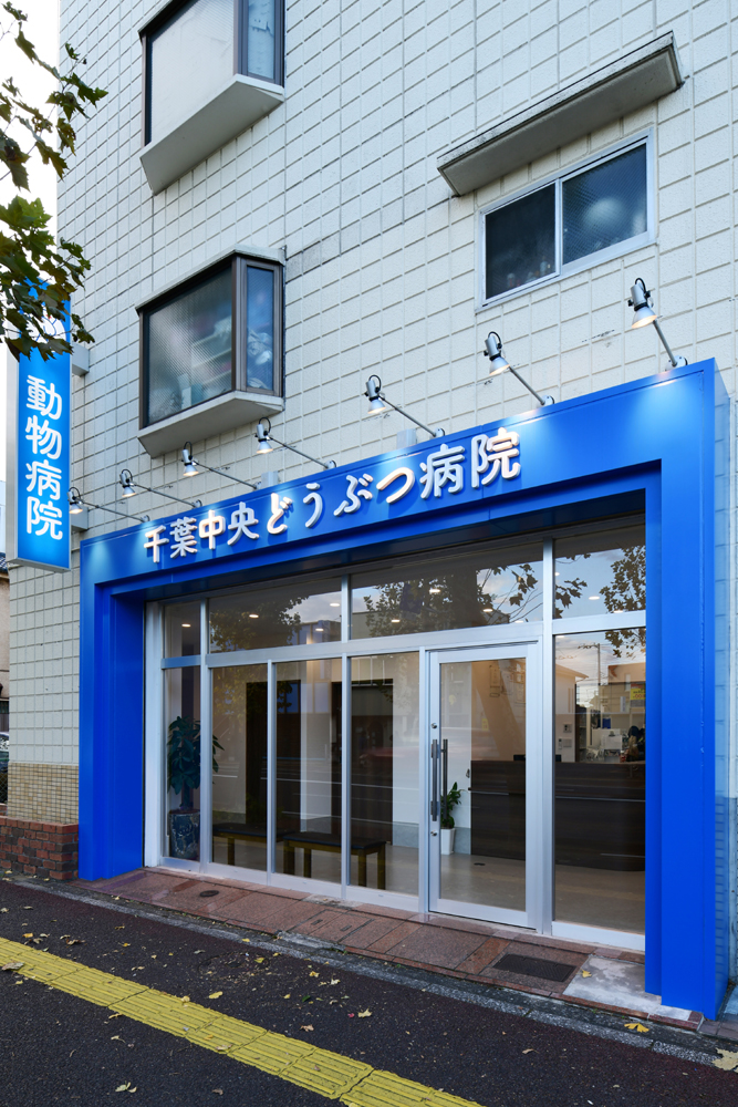 千葉中央どうぶつ病院