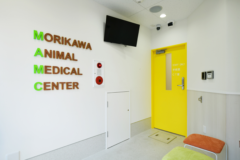 もりかわ動物病院　外科・CTセンター